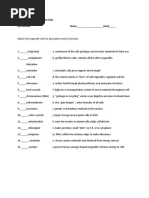 Match The Organelle With Its Description And/or Function