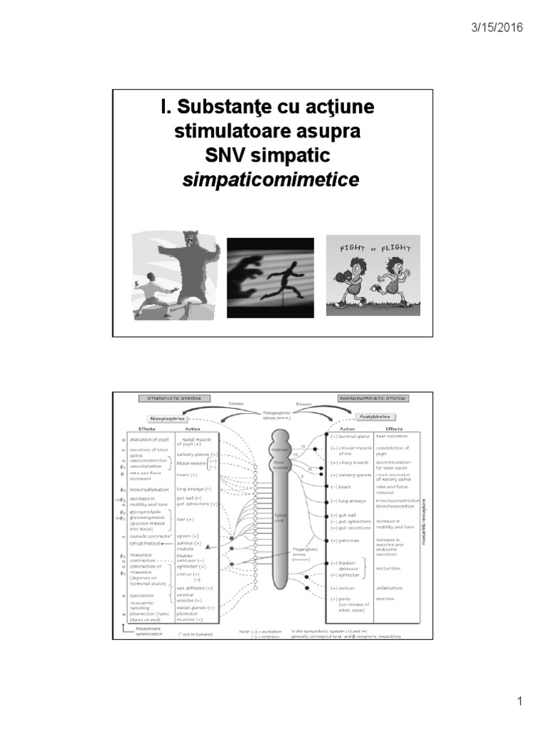 Simpatic Amg | PDF