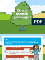 Ce Este Arborele Genealogic - Prezentare PowerPoint