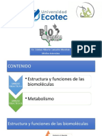 Biomoléculas y metabolismo humano