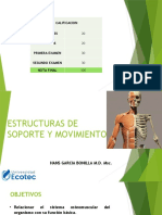 Estructuras de Soporte y Movimiento