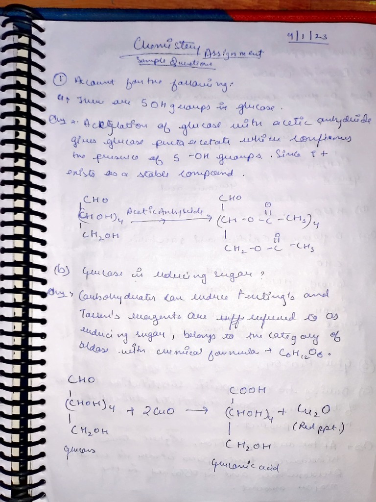 Documento Indescifrable | PDF