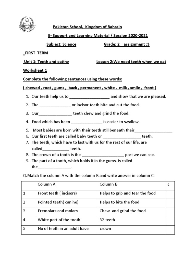 Grade2 G.sci Assignment 3 PDF Tooth Dentistry