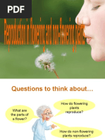 Seed Formation and Dispersal Methods | PDF | Fertilisation | Flowers