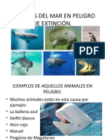 Animales Del Mar en Peligro de Extinción