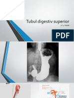 3. Tub digestiv superior