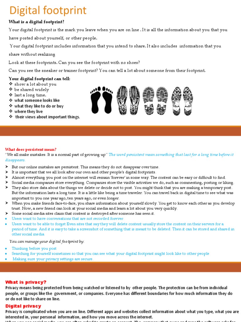 Dfootprint Health Balance | PDF | Internet Privacy | Social Media