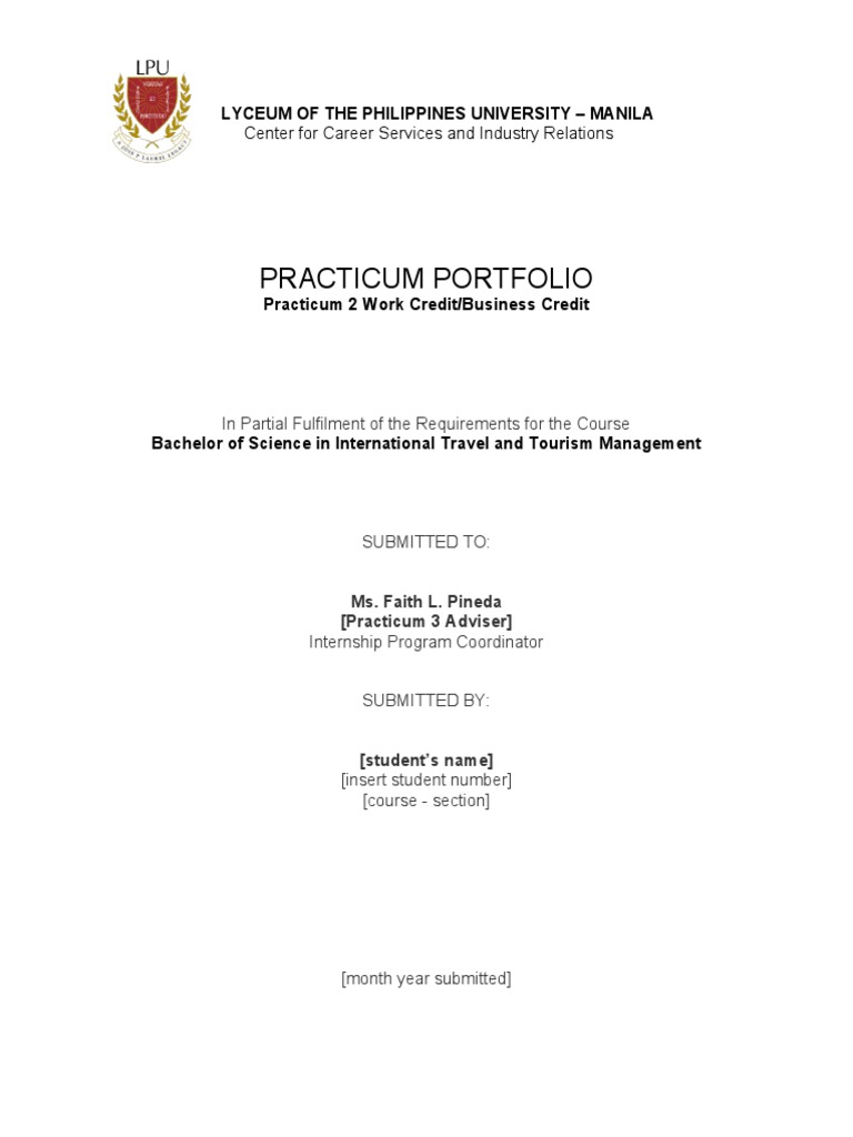 Practicum Portfolio Template Guide | PDF