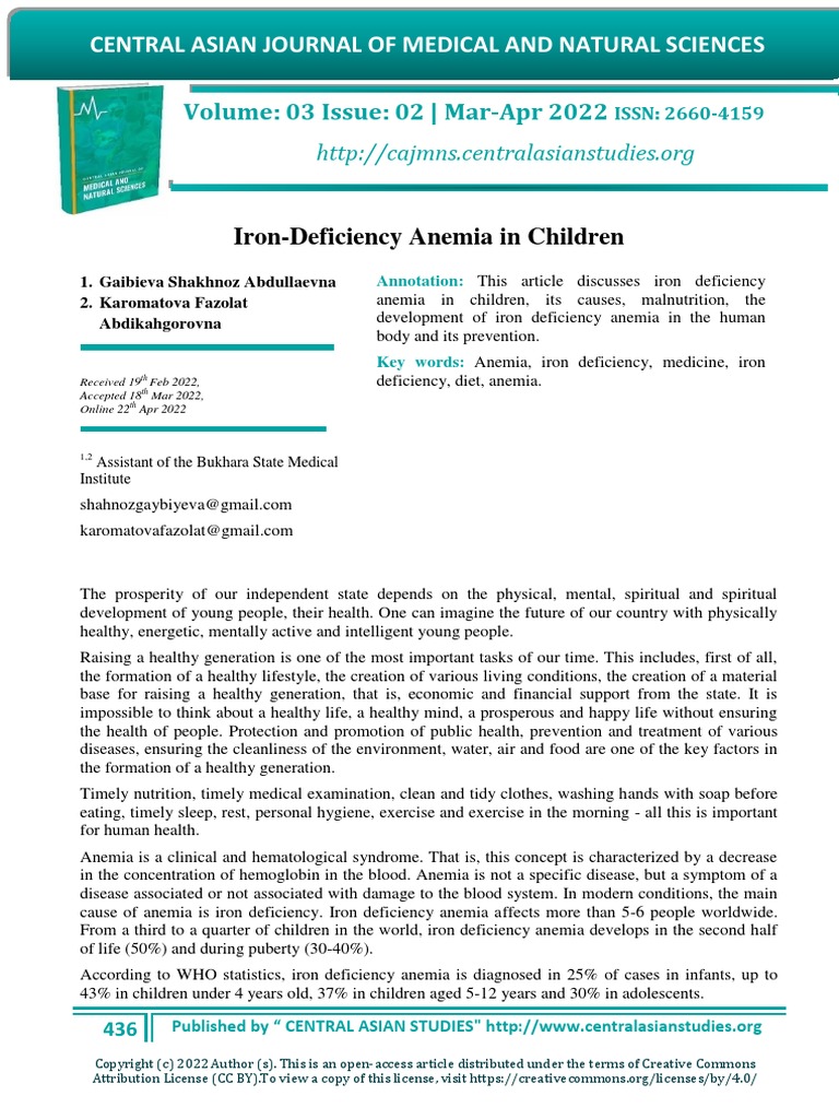 Iron intelligence overview