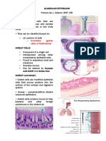 Glandular Epithelium