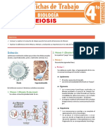 Meiosis para Cuarto Grado de Secundaria