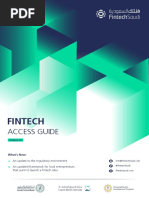 Fintech Access Guide