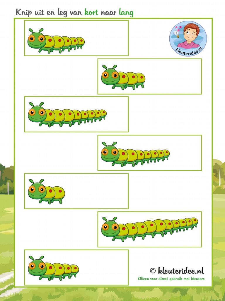 Kort Naar Lang Rups | PDF