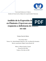 Ortega - Análisis de La Expresión de Genes en Pimiento (Capsicum Annuum) en Respuesta A Deficienc...