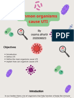 Common Organisms Cause UTI