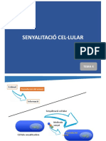 13 Senyalitzacio