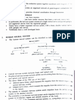 Neural Control and Coordination NOTES