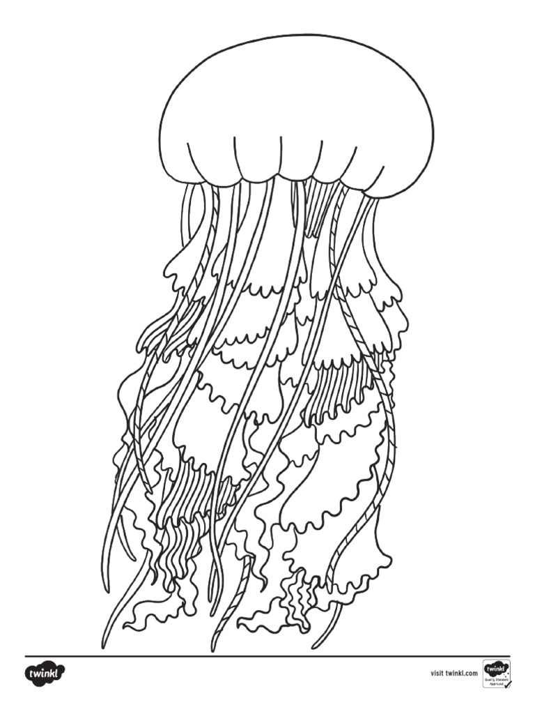 Beach Themed Coloring Activity Sheets PDF