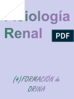 Clase Fisiología Renal - Formación de Orina