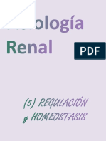 Clase Fisiologia Renal - Regulacion
