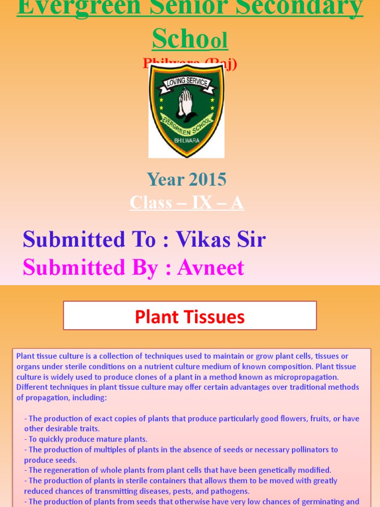 Plant Tissues and Animal Tissues | PDF | Tissue (Biology) | Plant Stem
