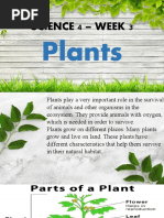 Biodegradable vs Non-Biodegradable Worksheet | PDF | Wellness | Science ...