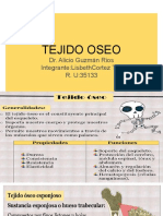 Histología Tejido Oseo Grupo-6