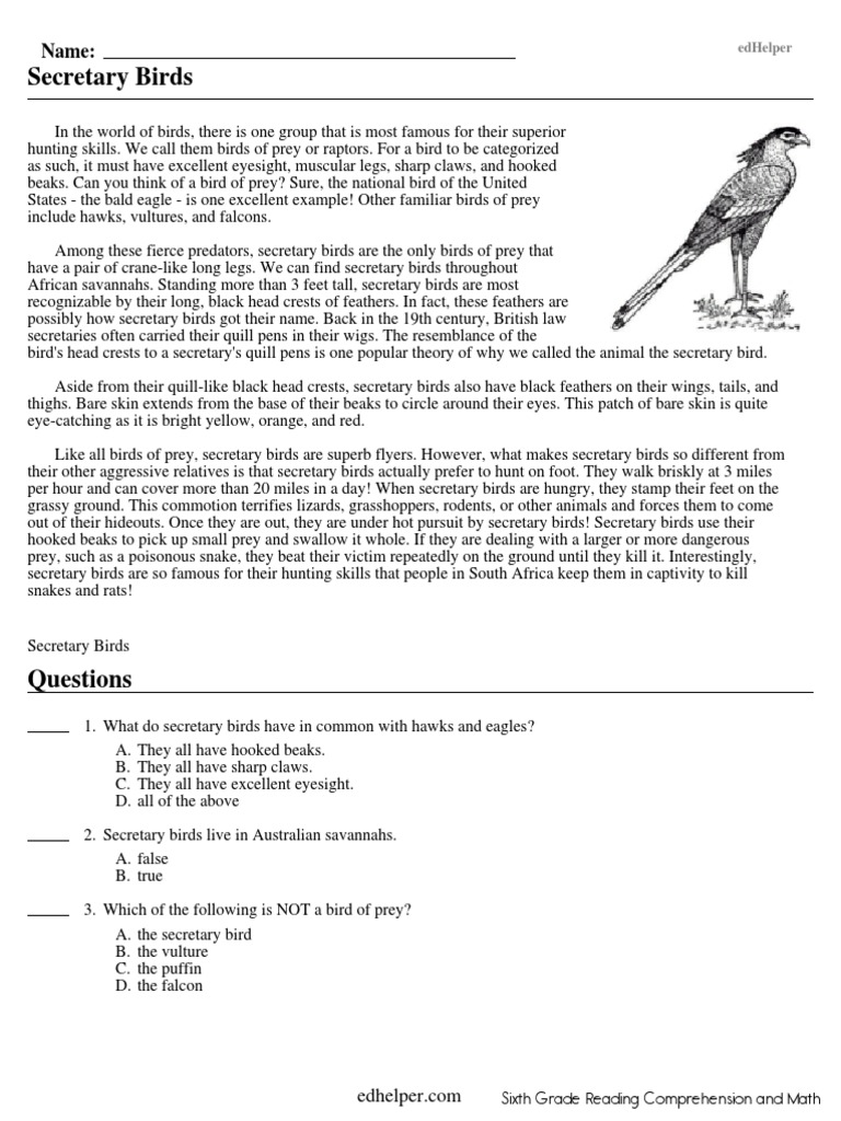 6th Grade Reading Comprehension Worksheets PDF Lakota People
