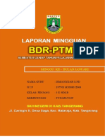 Cover Laporan BDR-PTMT Mingguan - Semester Genap