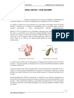 Ecografia de Vesicula Biliar y Vias Biliares