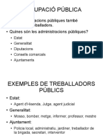 Treball Public2