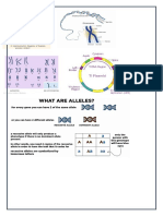 HGP Project Overview