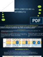 Trasporte Atravez de La Menbrana