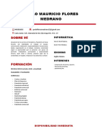 CV Paolo Mauricio Flores Medrano - P25M 2022