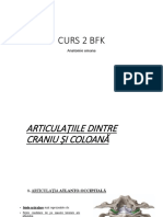 CURS2 BFK - Membrul Superior