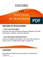 Enzymes of Mitochondria