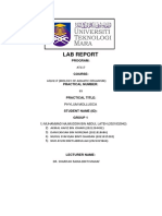 Lab Report 5_phylum Mollusca_nurul Syafiqah Binti Shaidan_2021815282