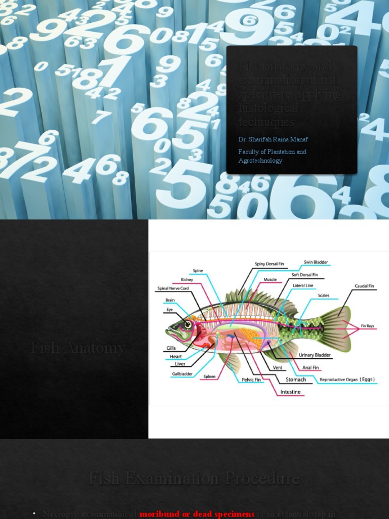 06 AQU347 Course Notes Chapter 2 PDF Fixation (Histology) Histology