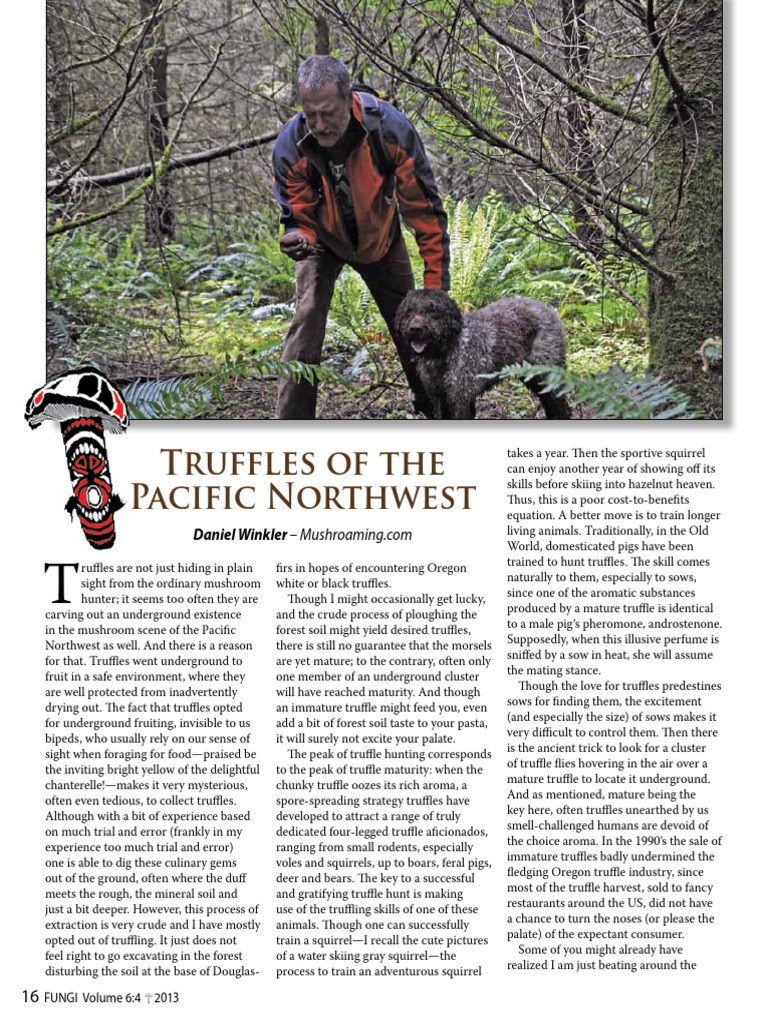 Truffles On The Northwest Pacific Dogs PDF Pig Food And Drink