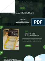 Gel Electrophoresis Explained