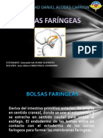 Bolsas Faringeas