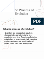 The Process Of: Evolution
