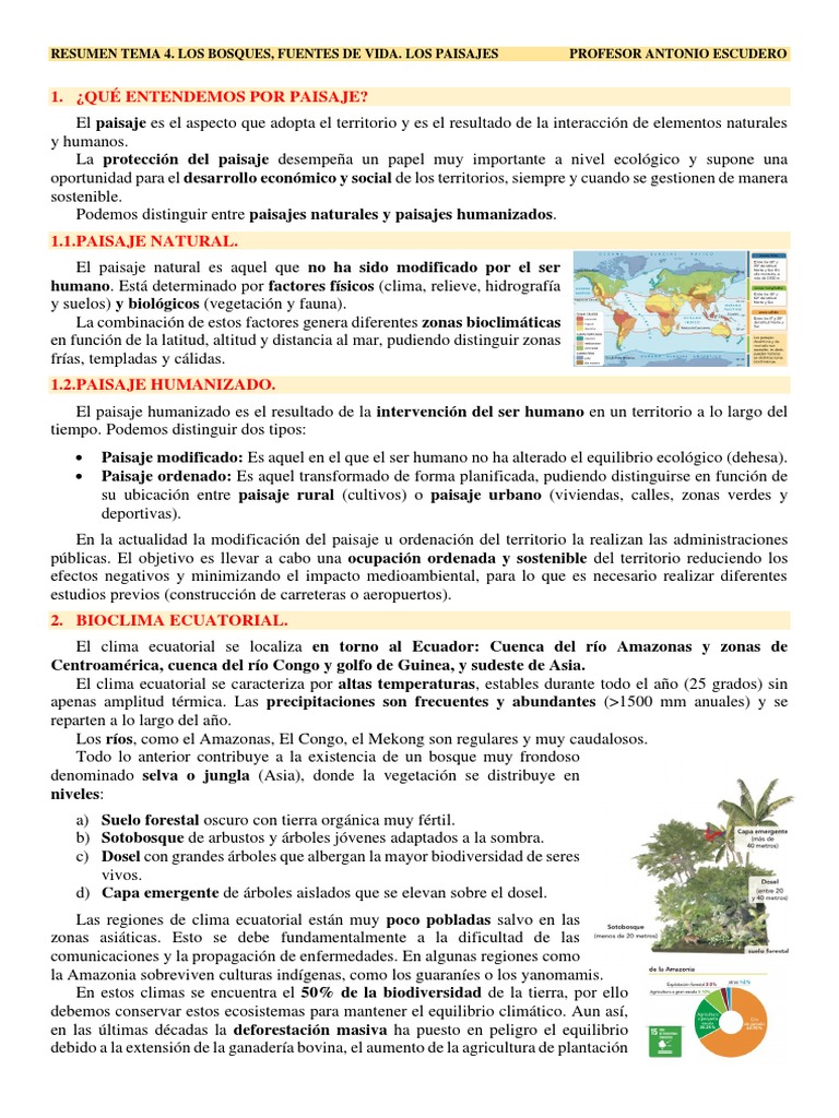 Bosques: Climas y Paisajes Naturales | PDF | Clima | Desierto