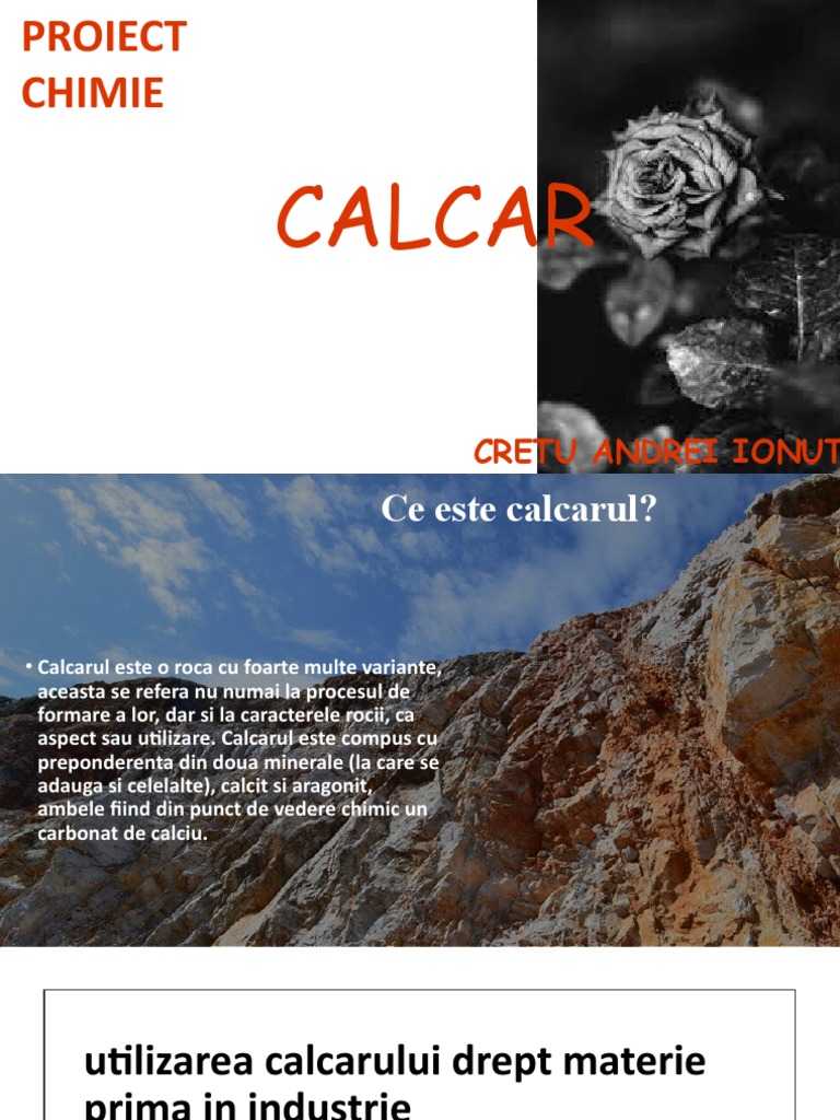 Calcar | PDF