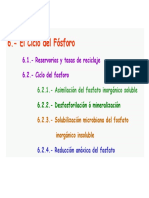 Ciclo Del Fosforo