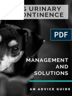 Dog Incontinence Guide