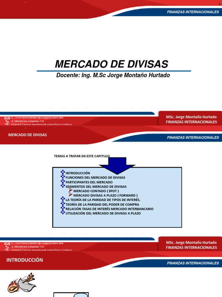 Participantes en el Mercado de Divisas | PDF | Tipo de cambio | Mercado ...