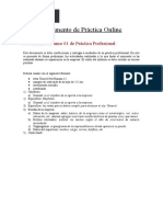 C - Instrucción Informe de Práctica Profesional (ONLINE)