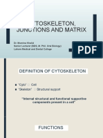 Cytoskeleton 1