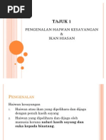 Download Pengenalan Haiwan Kesayangan Dan Ikan Hiasan 1 by Coklat Celup SN61923852 doc pdf